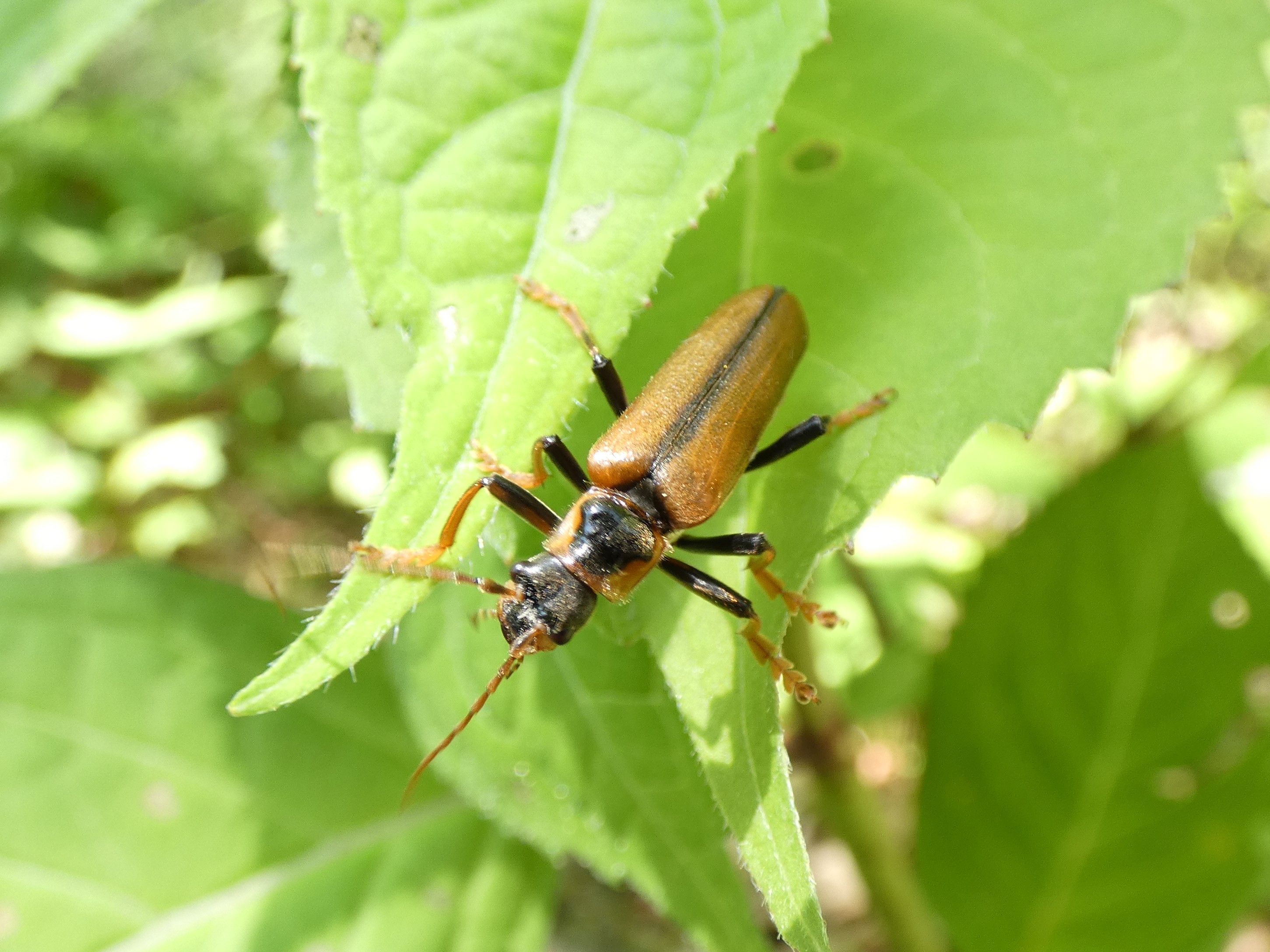 photo_1